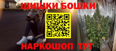 индика Рузаевка