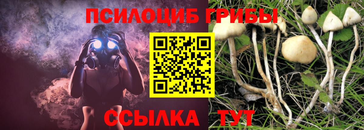 Галлюциногенные грибы GOLDEN TEACHER  Вход с VPN  Псилоцибиновые грибы GOLDEN TEACHER  Первоуральск 